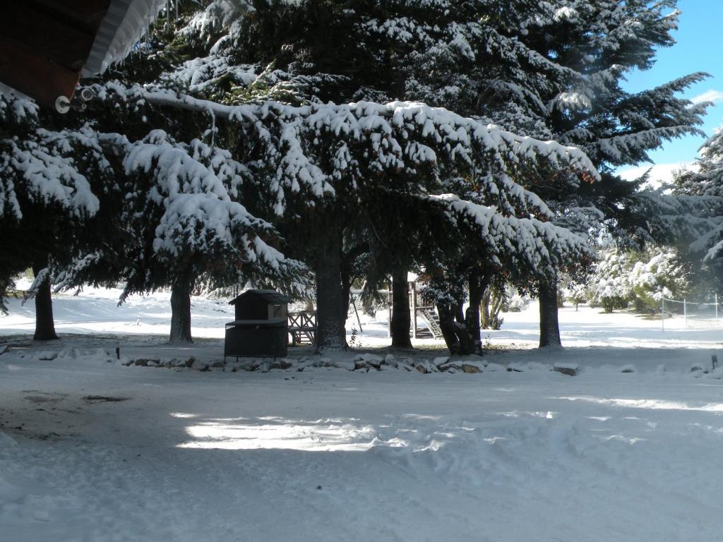 Estancia Del Carmen Mountain Resort 산카를로스데바릴로체 객실 사진